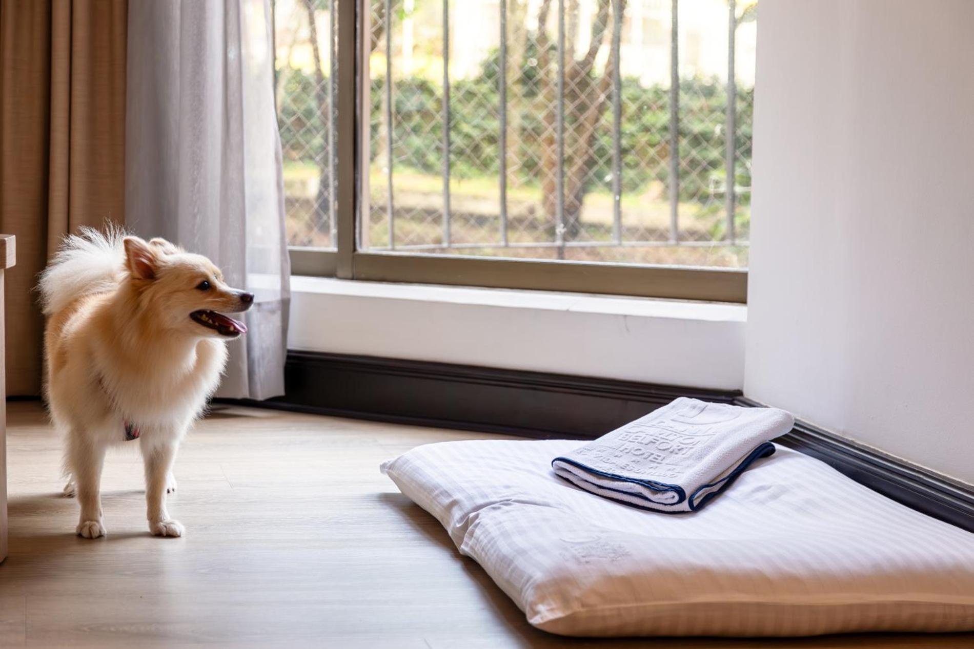 Hotel Dann Carlton Belfort Medellín Exterior foto A dog bed
